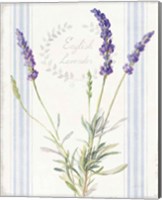 Floursack Lavender IV Fine Art Print