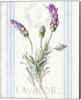 Floursack Lavender II Fine Art Print