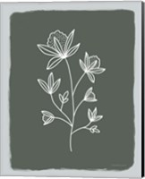 Green Botanical III Fine Art Print