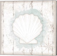 Calming Coastal Shell II Fine Art Print