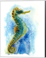 Seahorse I Fine Art Print