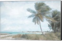 Palm Harbor Fine Art Print