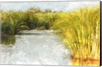 Marshy Wetlands No. 2 Fine Art Print