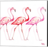 Flamingo Trio I Fine Art Print