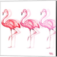 Flamingo Trio II Fine Art Print
