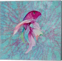 Fish On Coral I Fine Art Print