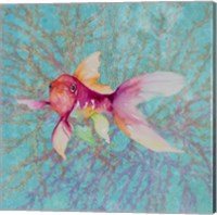 Fish On Coral II Fine Art Print