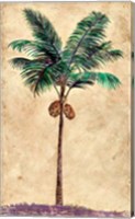 Coconut Tribal Palm II Fine Art Print
