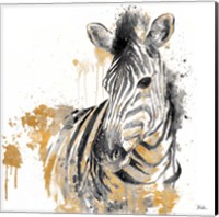 Water Zebra with Gold Fine Art Print