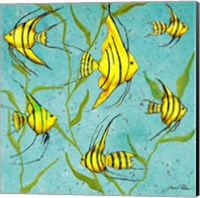 School Of Fish IV Fine Art Print
