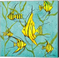 School Of Fish III Fine Art Print