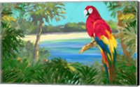 Parrot By The Ocean Fine Art Print