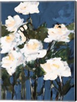 White Roses On Blue Fine Art Print