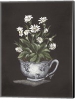 Tea Cup Daisies Fine Art Print