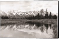 Tetons at Schwabachers Landing Fine Art Print