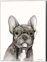 Smart Dog Fine Art Print