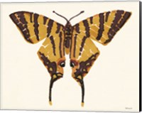 Papillon 2 Fine Art Print