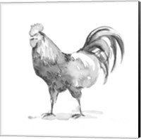 Barn Fowl I Fine Art Print