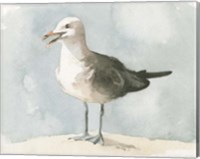 Simple Seagull II Fine Art Print