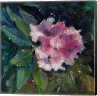 Rhododendron Portrait II Fine Art Print