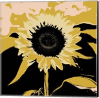 Pop Art Sunflower IV Fine Art Print
