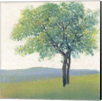 Solitary Tree II Fine Art Print
