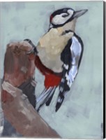 Woodpecker Paintstrokes II Fine Art Print