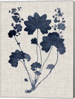 Navy & Linen Leaves III Fine Art Print