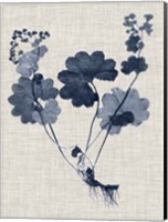 Navy & Linen Leaves IV Fine Art Print