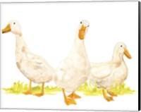 Quack Squad I Fine Art Print