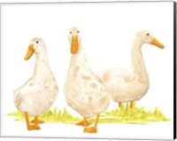 Quack Squad II Fine Art Print