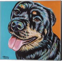 Rottweiler I Fine Art Print