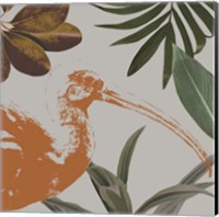 Graphic Tropical Bird VI Fine Art Print