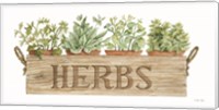 Crate of Herbs Fine Art Print