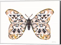 Butterfly Penny Fine Art Print