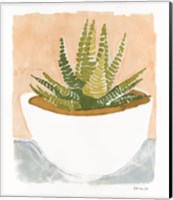 Cacti Bowl Fine Art Print