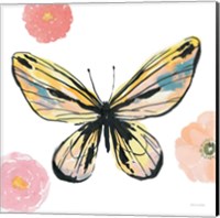 Beautiful Butterfly II Teal No Words Fine Art Print