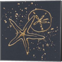 Gold Sand Dollar Starfish Fine Art Print