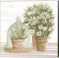 Flowers and Terrarium Fine Art Print