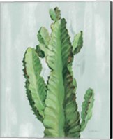 Front Yard Cactus II Slate Fine Art Print