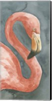 Flamingo Study I Fine Art Print
