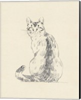 House Cat V Fine Art Print
