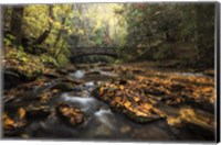 Stone Bridge Fine Art Print