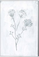 Milkweeds II Fine Art Print