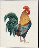 Watercolor Rooster I Fine Art Print