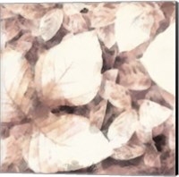 Blush Shaded Leaves II Fine Art Print