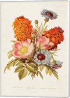 Antique Floral Bouquet II Fine Art Print