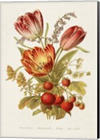 Antique Floral Bouquet IV Fine Art Print