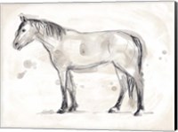 Vintage Equine Sketch I Fine Art Print