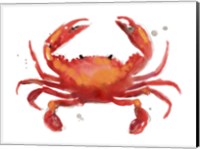 Crab Cameo I Fine Art Print